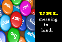 url meaning in hindi