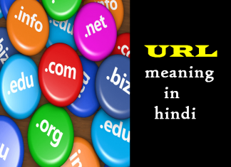 url meaning in hindi
